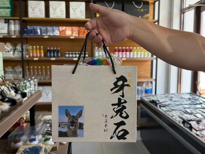 情感共鸣 牙克石文创冰箱贴“大受欢迎”AG真人国际厅北疆文化 方寸之间引发(图3)